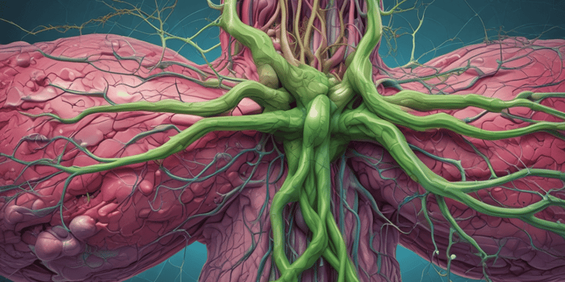 Anatomy of the Lymphatic and Immune Systems