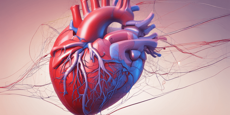 Cardiovascular Physiology: Afterload and Cardiac Output