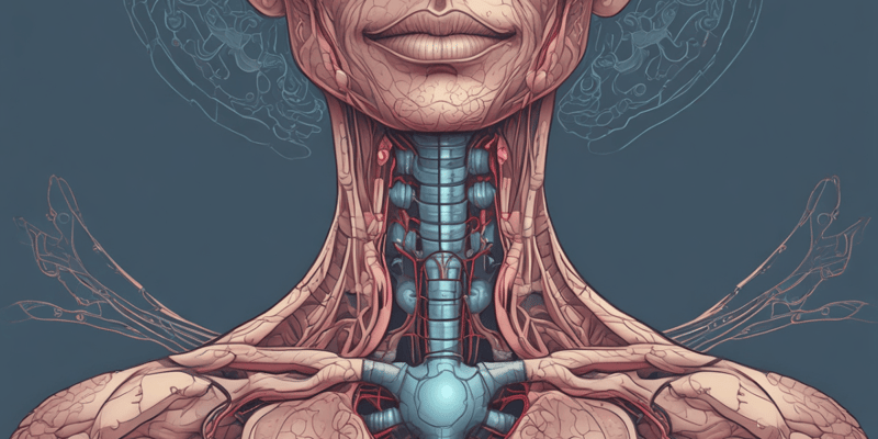 Anatomy of the Thyroid Gland