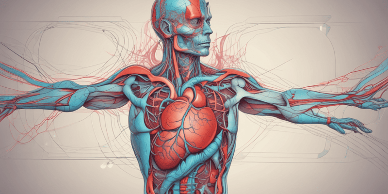 Heart Anatomy: Arteries and Veins