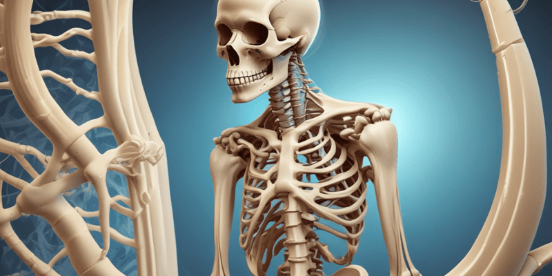 Bone Physiology: Calcium & Phosphate Metabolism
