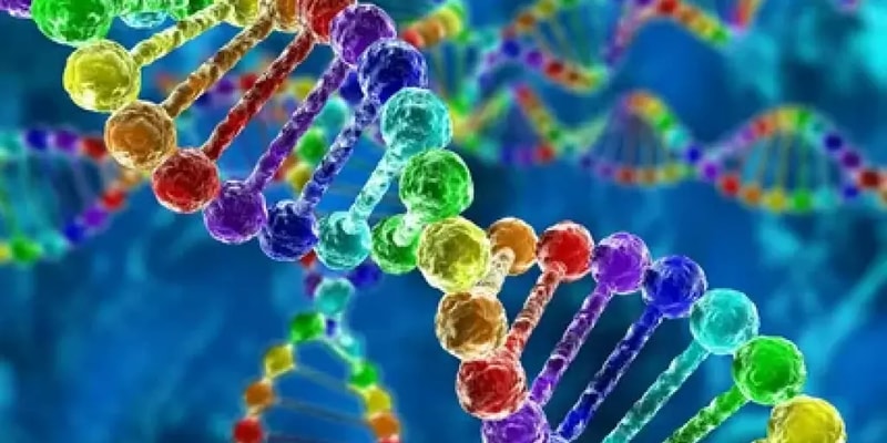 Genetics of Sex: Chromosomes, Genes, and Inheritance