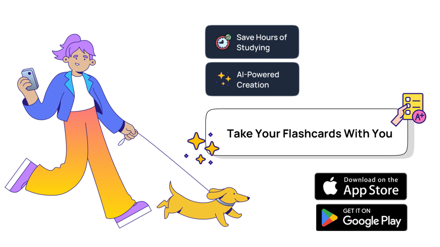 Step 3: Access Your Flashcards Anywhere