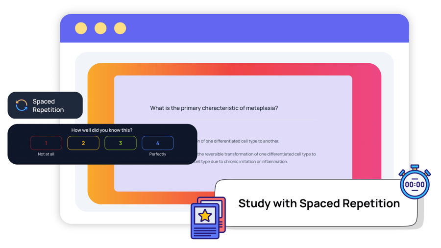 Step 2: Study Your Flashcards