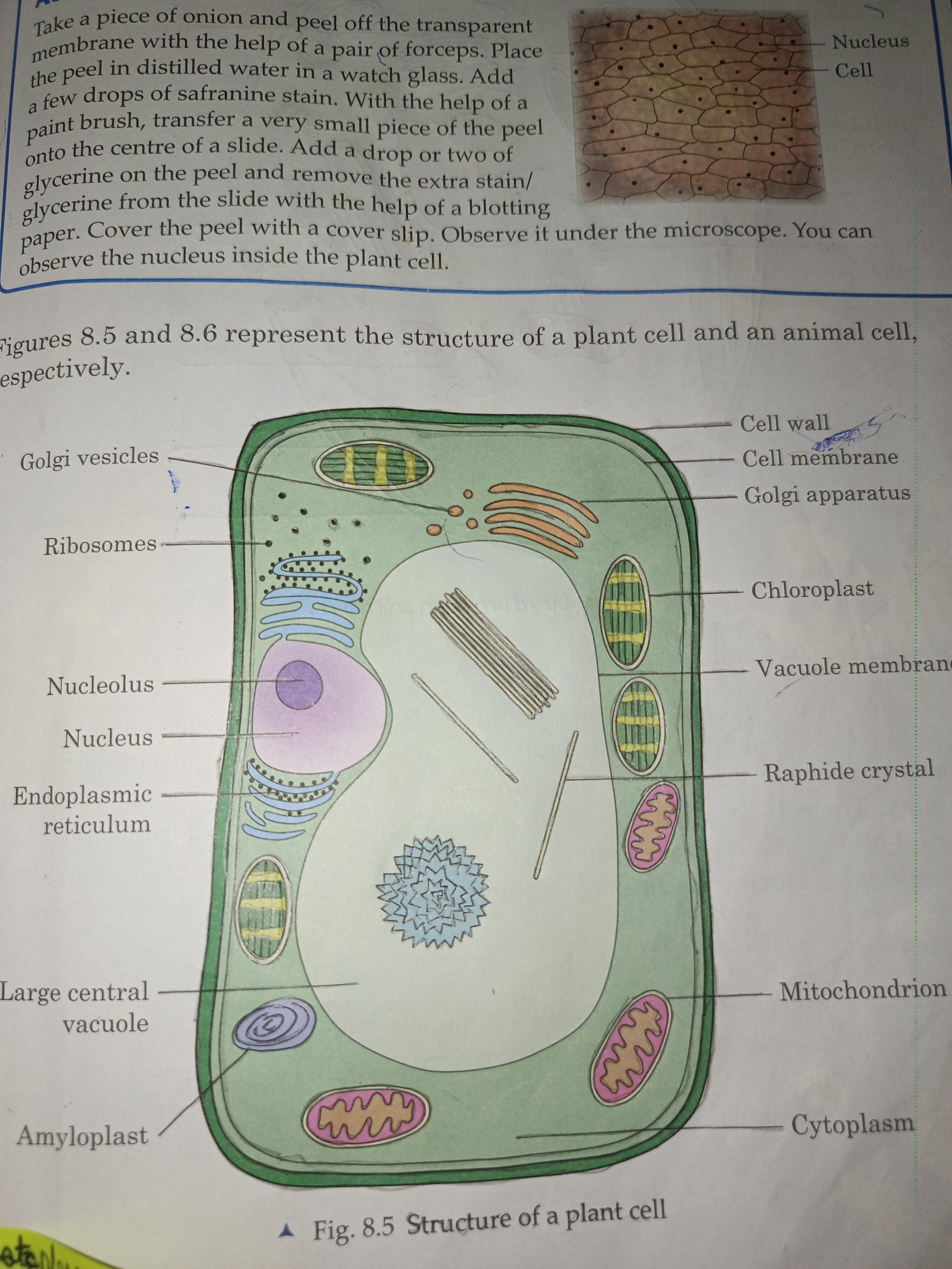 Question image