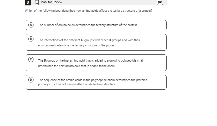 Which of the following best describes how amino acids affect the 