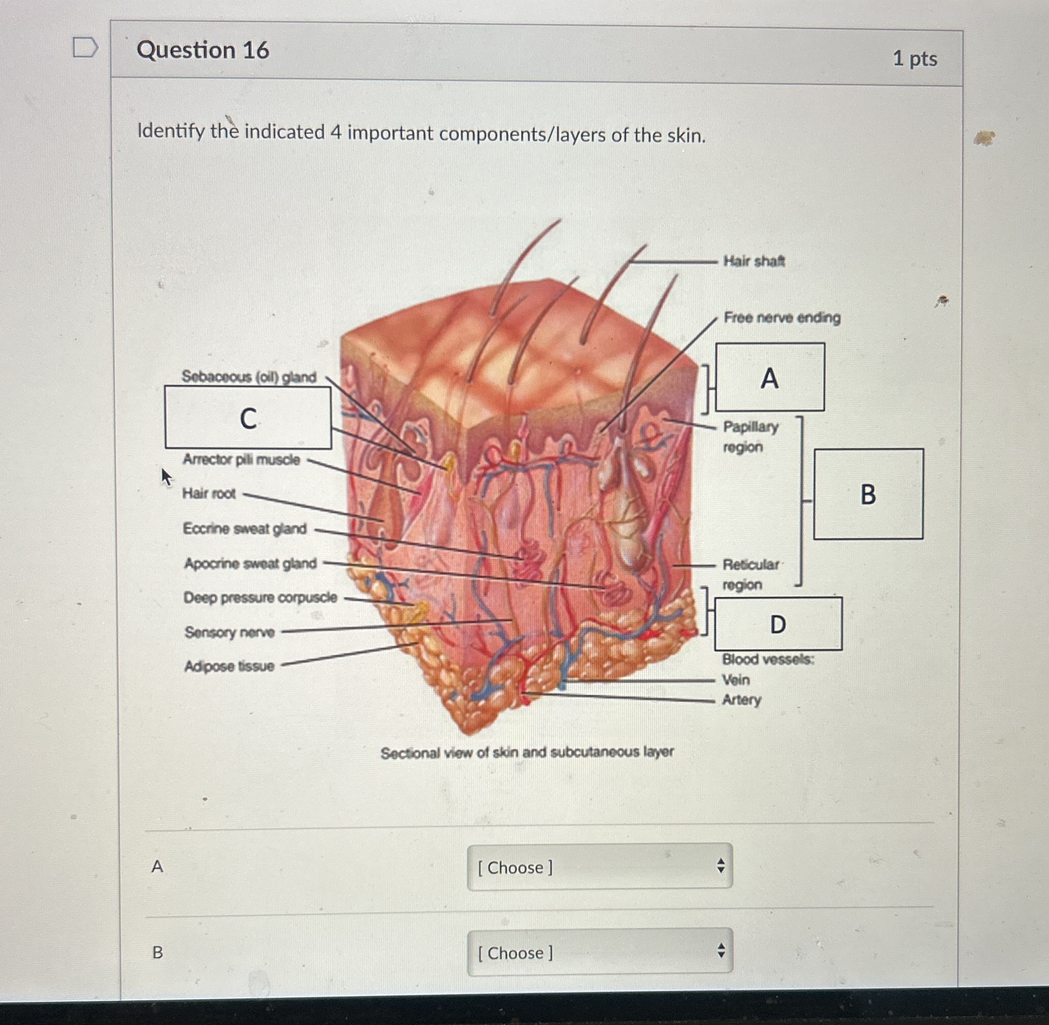 Question image