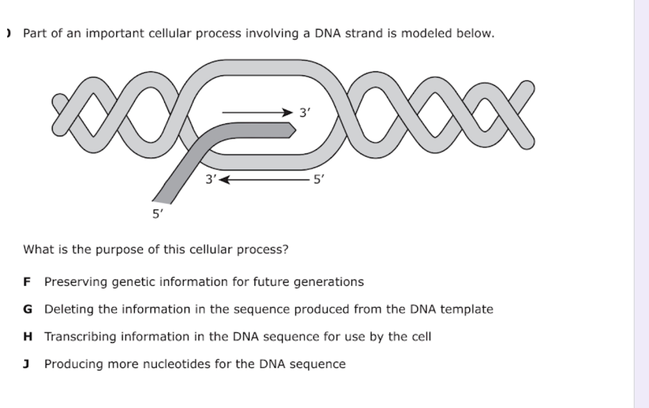 Question image