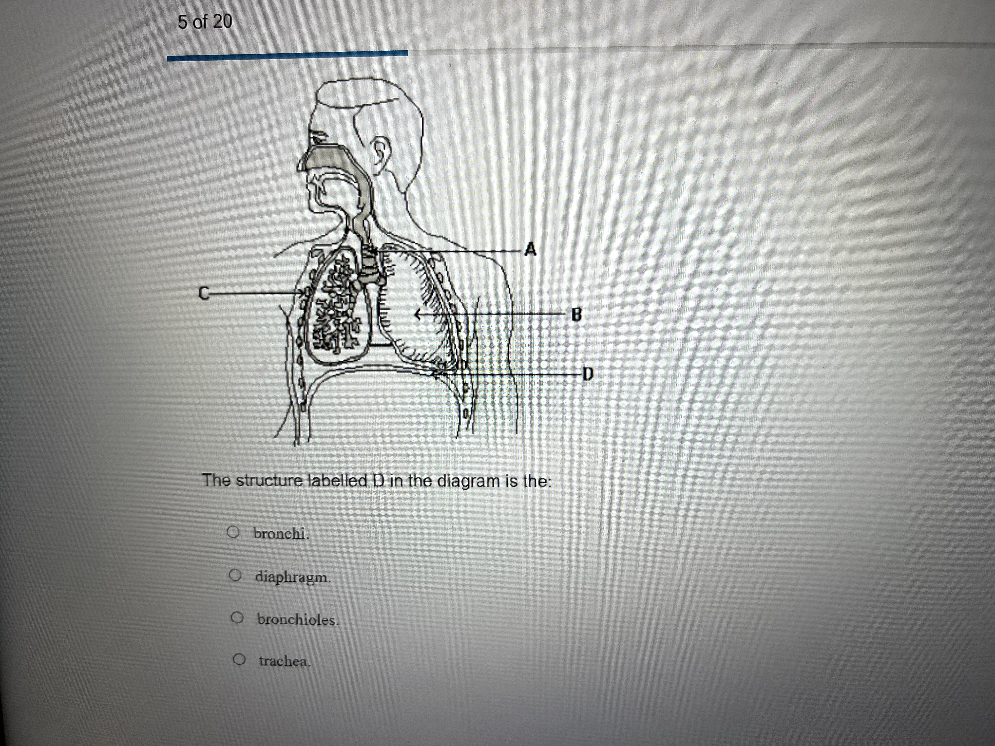 Question image